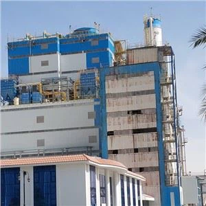 Cov Khoom Siv Detergent Hmoov Ntxuav Hmoov Ntau Lawm Tsob Nroj